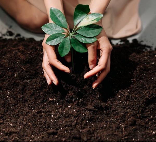 Beyaz E�ya Servisi